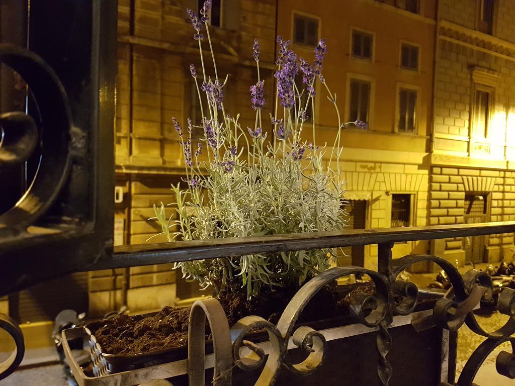 Villa Loft Pantheon Roma Exterior foto